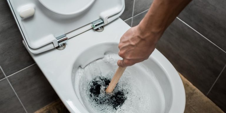 How to Get Rid of Mold in Toilet ?