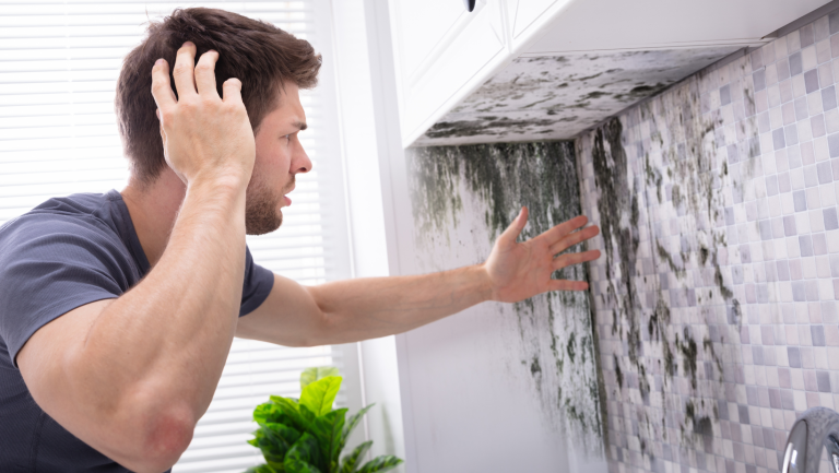 What Is Mold?